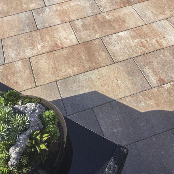 Smartton xxs linea 30x60x4cm kilimanjaro