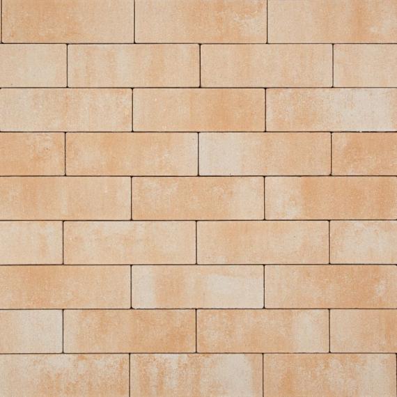 Smartton 10x30x6cm mont blanc