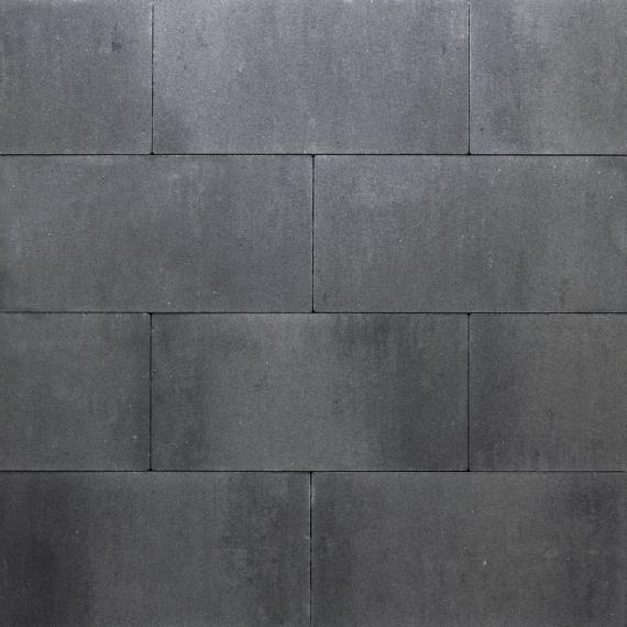 Premiton plus xxs 30x60x4cm gran canaria