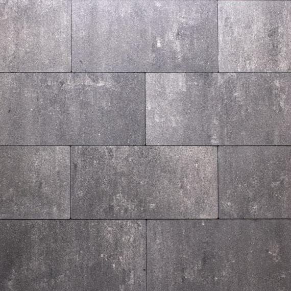 Premiton plus xxs 30x60x4cm lanzarote