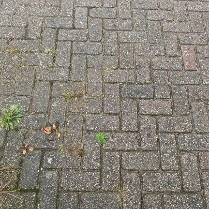 Gebruikte betonklinkers 21x10,5x8 cm Rood/Paars Doetinchem