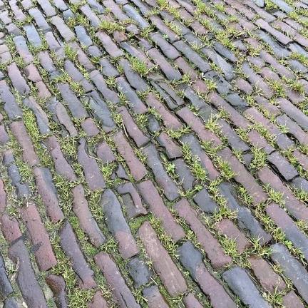 Oude gebakken waalformaten Nieuw-dijk (op pallets)