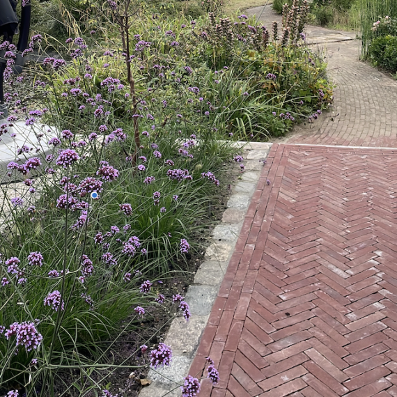 Oude gebakken Waalformaten Rood Bruin Drenthe (op pallets)