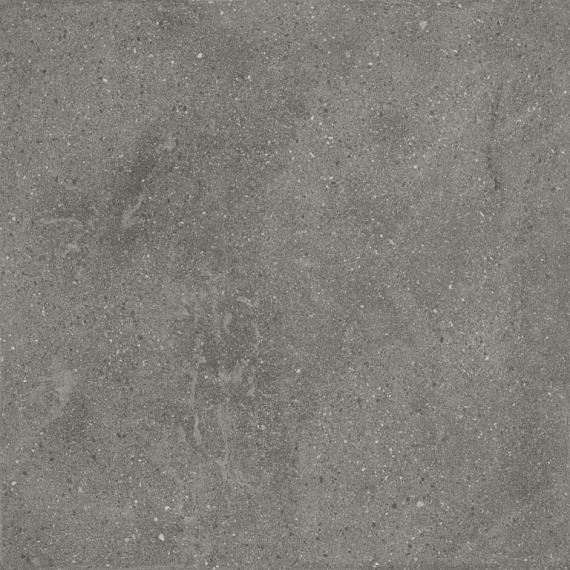 Keramische tegel Lithops Grey 50x100x2 cm