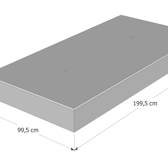 Betonplaat 200x100x20 cm Glad 42T