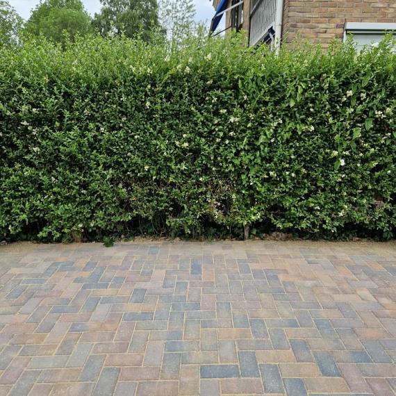 Betonstraatsteen 6 cm oud bussum (voorheen paars gv) komo
