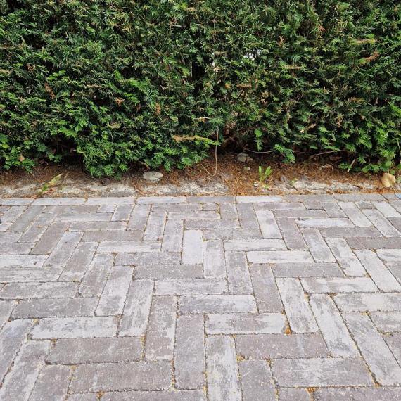 Antieke trommel dikformaat 6 cm mangaan