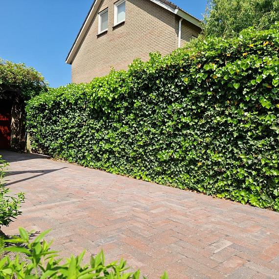 Antieke trommel longstone 7 cm oud Emmen