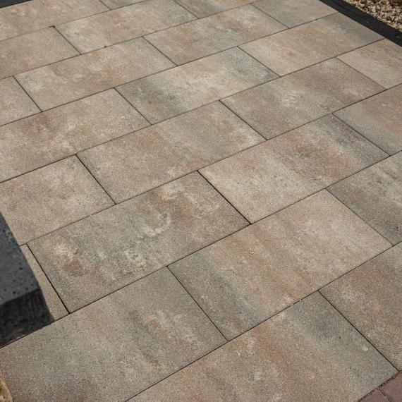 Eliton supreme linea 30x60x6 kilimanjaro