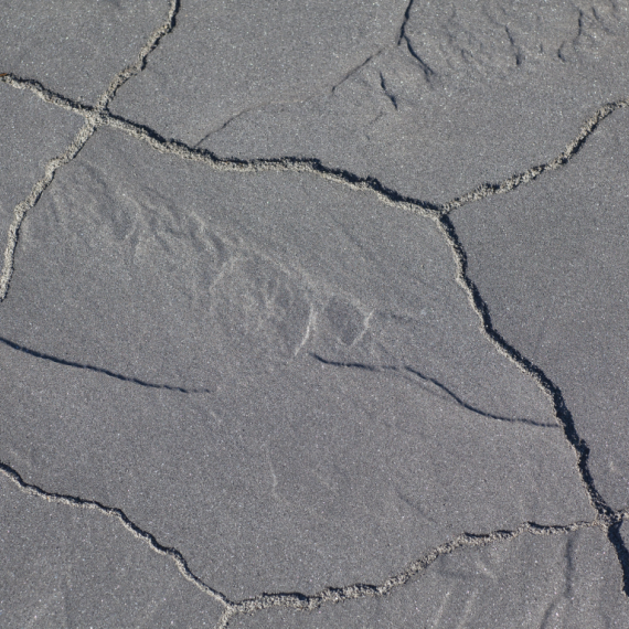 Geoardesia alivo Cannobio