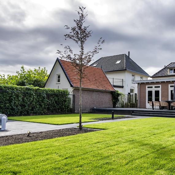 Levendige_tuin_Zelhem_5.JPG
