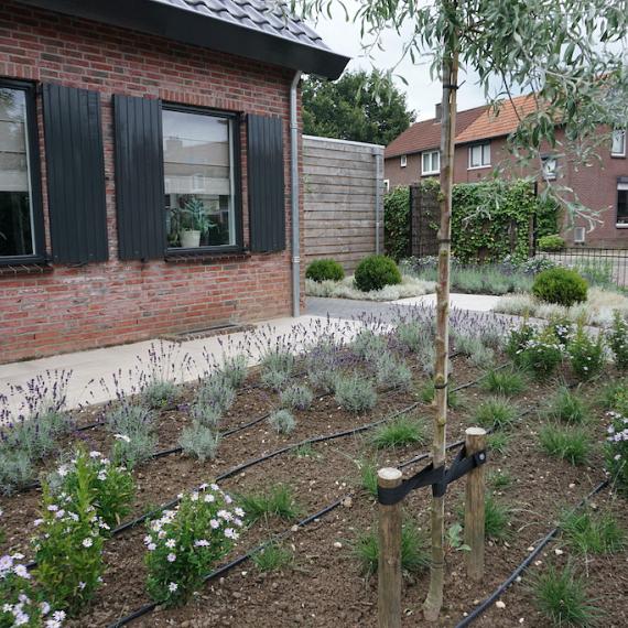 voortuin1.JPG
