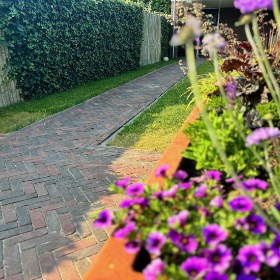 looppad_achtertuin.jpg
