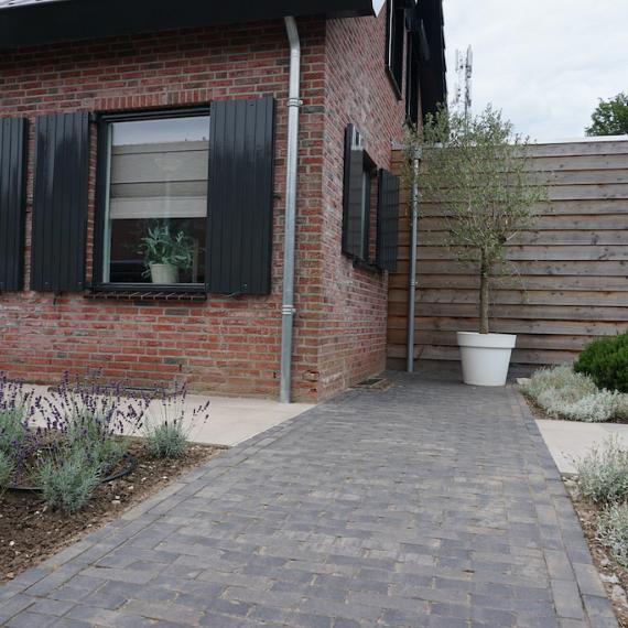 voortuin2.JPG