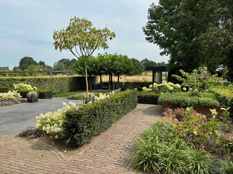 achtertuin(1)