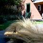 IMG_7074-.jpeg