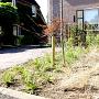 IMG_7160-.jpeg