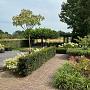 achtertuin.jpg