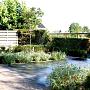 IMG_7032-.jpeg