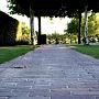 IMG_7035-.jpeg