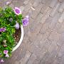 DSC02989-2.jpg