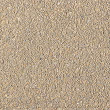 Bisschopsmuts GeoColor Excellent geel