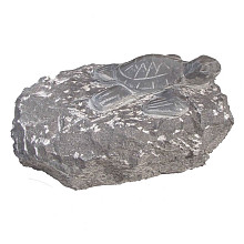 Schildpad op steen (Turtle on rock) ca. 30x30x20 cm