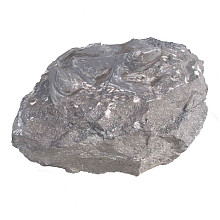 Kikker op steen (Frog on rock) ca. 30x30x20 cm