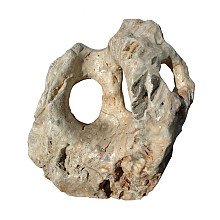 Zwerfsteen Showstone 