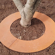 ECCO Tree Border Corten 50 (boomrand 50 cm diameter)
