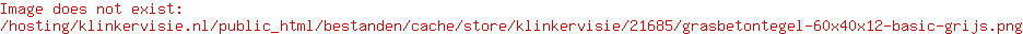 Grasbetontegel 60x40x12 basic grijs