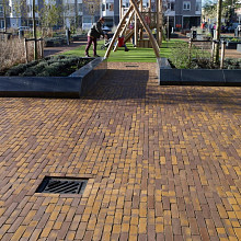 DF Zonnebloem wasserstrich A4-12g