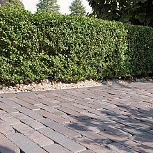 WF60 Lugano Antica gebakken waalformaat blauw-zwart
