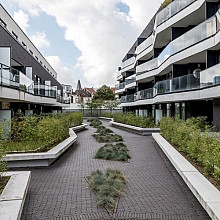 WF80 Safino gebakken waalformaat zwart
