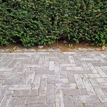 Antieke trommel dikformaat 6 cm mangaan