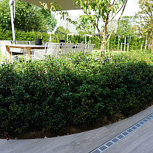 ACO Slimline gootelement + rooster aluminium 100 cm