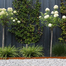 Kantopsluiting double corten 300x10