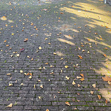 Oude gebakken Waalformaten Rood Paars (Op pallets)