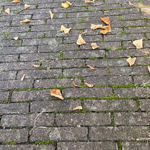 Oude gebakken Waalformaten Rood Paars (Op pallets)