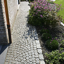 Kinderkop portgran gr 7x9cm gaasbox