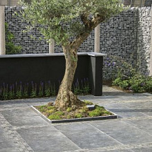 blue moon honed anticato 80x80x3 cm