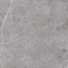 Everglades Grey 60x60x2 cm