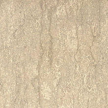 Perlato Nocciola 60x60x3 cm