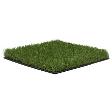 Proud 40 mm 4m breed