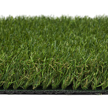 Proud 40 mm 4m breed