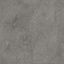 Keramische tegel Lithops Grey 50x100x2 cm