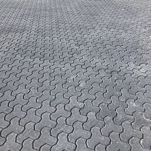 Wardenburger profielsteen 8 cm zwart (met facet en deklaag)