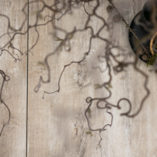 GeoCeramica® 120x30x4 Timber Tortera