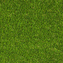 Kunstgras type Greendale 38