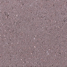 Bisschopsmuts GeoBasic heide